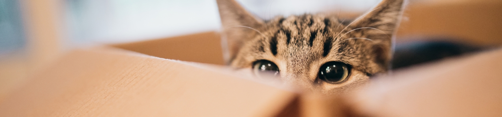 1358807721 Banner Image 1400 X 450